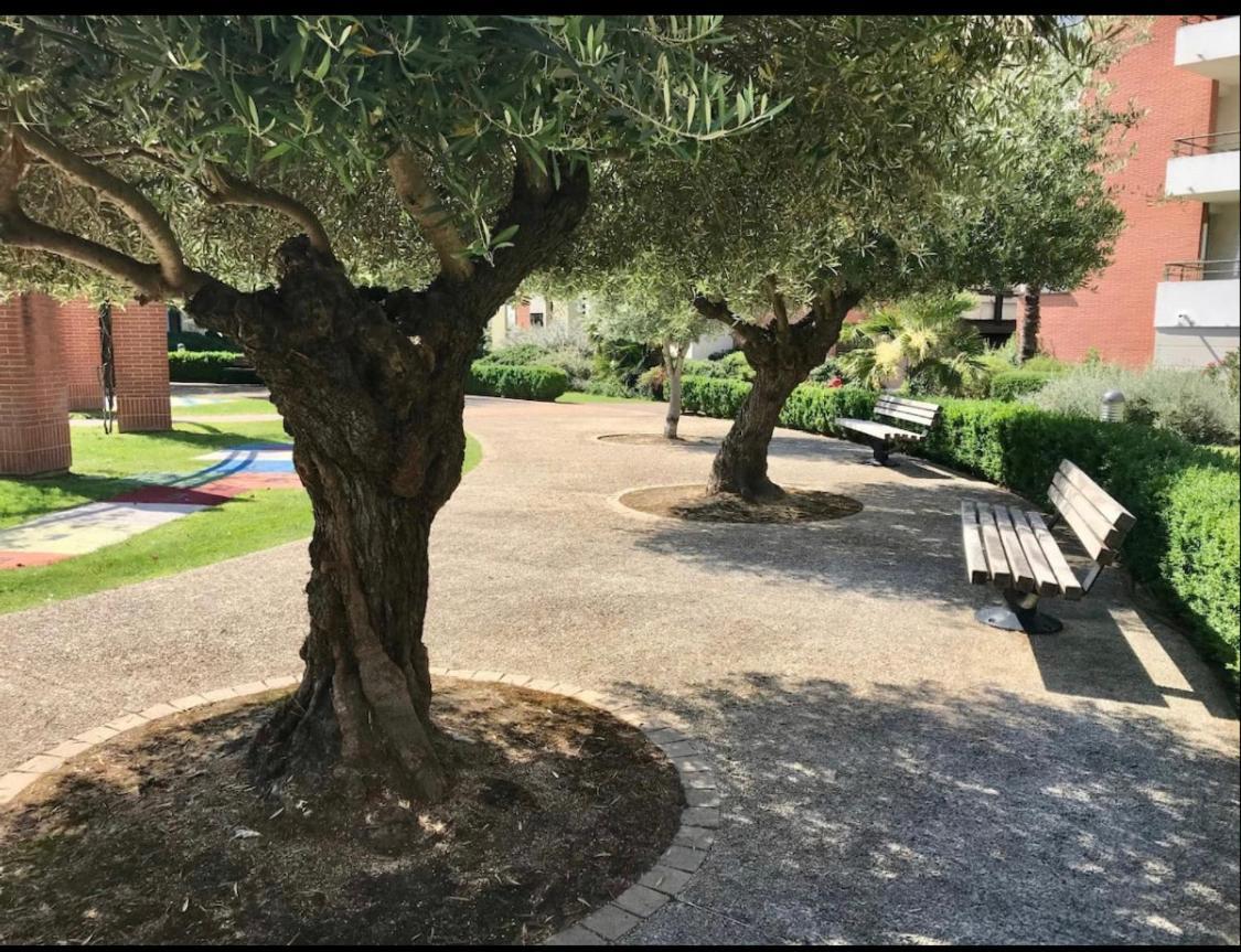 L Oasis Studio Proche Hopital Et Aeroport Piscine Parking &Netflix Toulouse Exterior photo